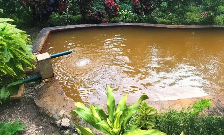 Natural Hot Springs in Dominica