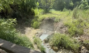 Natural Hot Sulphur Springs Dominica