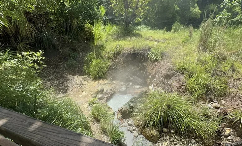 Natural Hot Sulphur Springs Dominica