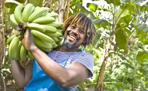 Dominica on a Farm