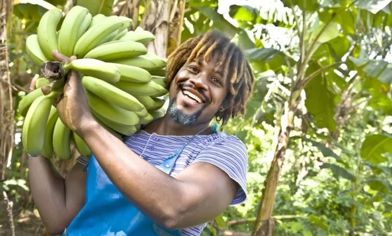 Dominica on a Farm