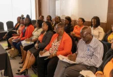 Dominica Workshop Develops New Tools for Social Protection Services