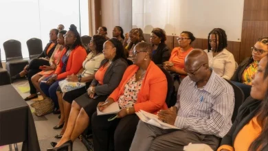 Dominica Workshop Develops New Tools for Social Protection Services