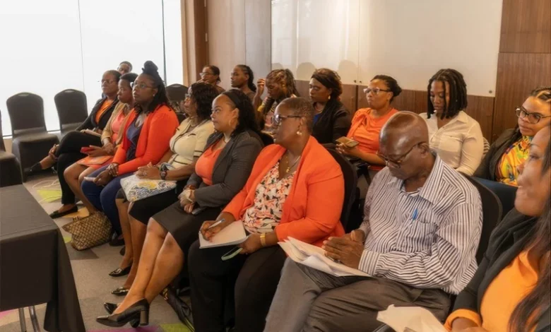 Dominica Workshop Develops New Tools for Social Protection Services