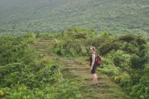 Morne Trois Pitons National Park