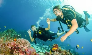 Scuba Diving Dominica