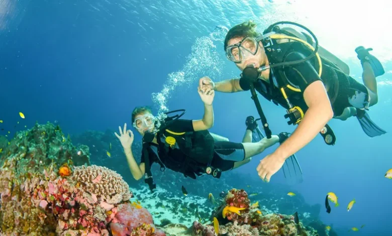 Scuba Diving Dominica