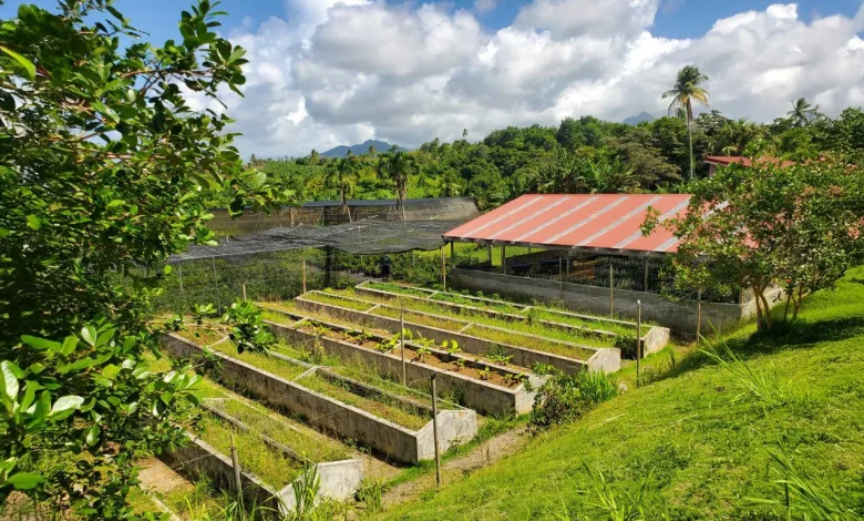 Woodford Hill Agricultural Station