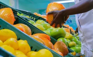 Citrus Certification Facility in Londonderry