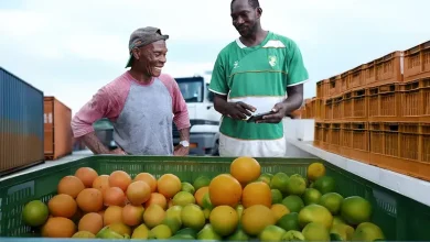 Citrus Industry and Export Growth in Dominica