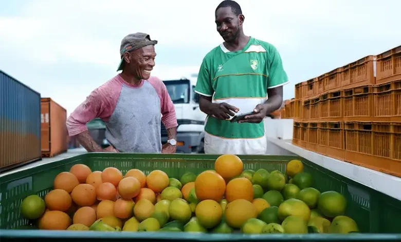 Citrus Industry and Export Growth in Dominica