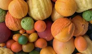 Citrus Fruits