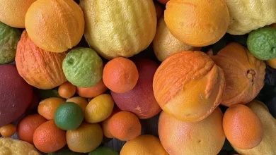 Citrus Fruits