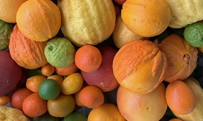 Citrus Fruits