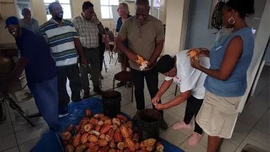 Cocoa Industry Traiing Dominica