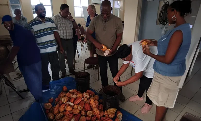 Cocoa Industry Traiing Dominica