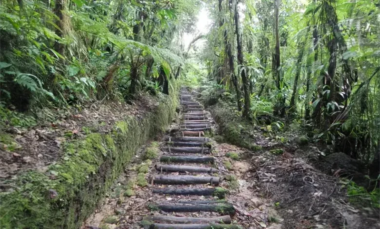 Boiling Lake Trail