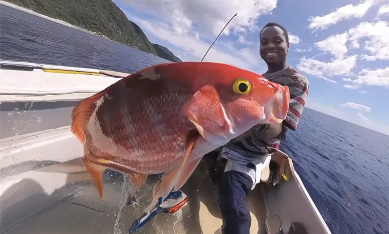 Fishing in Dominica