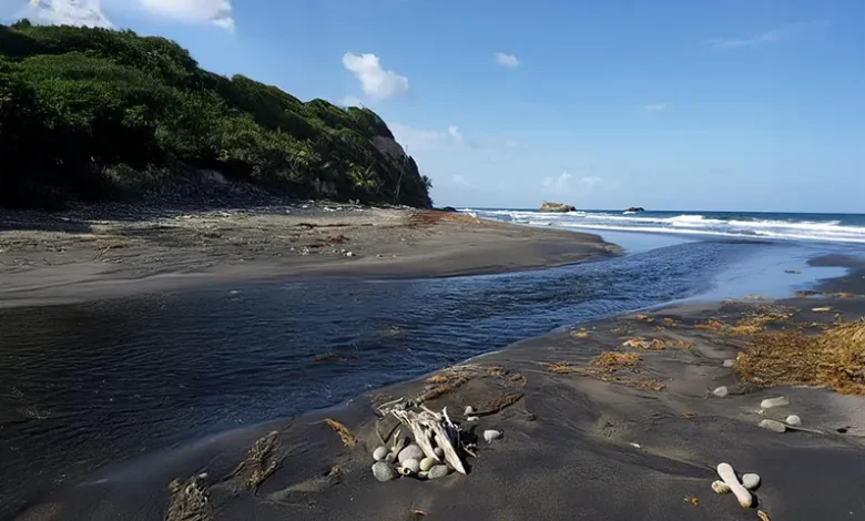 Toulaman River